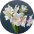 Альстромерия 